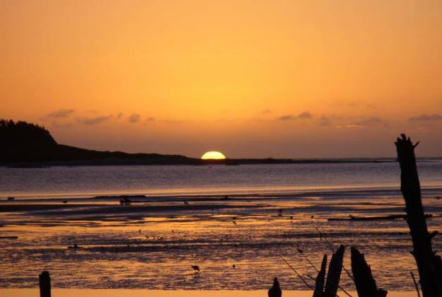 Foxton Beach Holiday Park