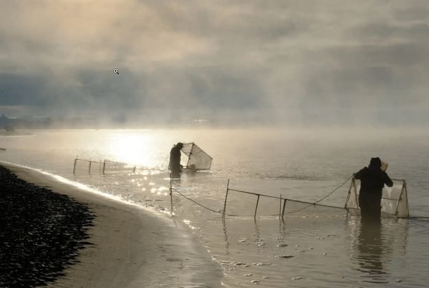 Foxton Beach Holiday Park