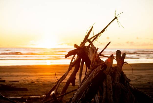 Foxton Beach Holiday Park