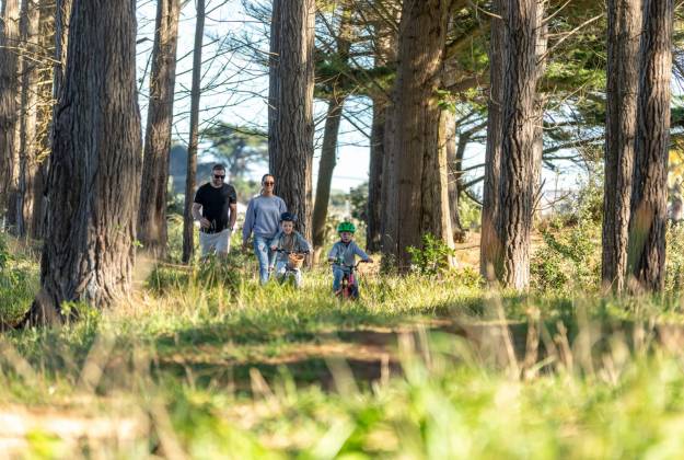 Walking & Cycle Tracks