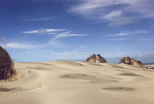 Foxton Beach Holiday Park